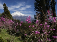 photo?id=3523&suffix=t