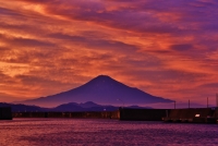 photo?id=3525&suffix=t