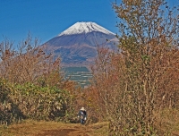 photo?id=3527&suffix=t
