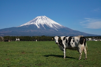 photo?id=3531&suffix=m