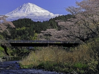 photo?id=3532&suffix=t