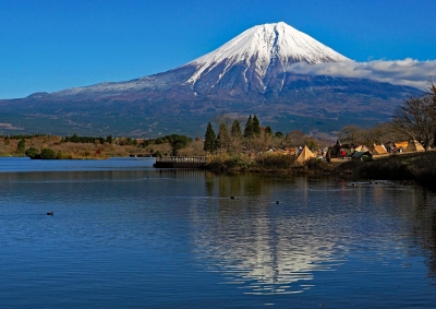 photo?id=3535&suffix=m