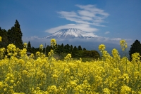 photo?id=3536&suffix=t