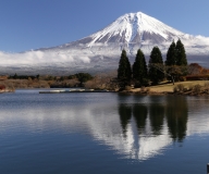 photo?id=3539&suffix=t