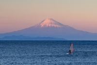 photo?id=3540&suffix=t