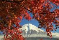 photo?id=3541&suffix=t