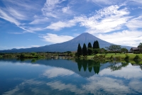 photo?id=3543&suffix=t