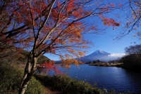 photo?id=3544&suffix=t