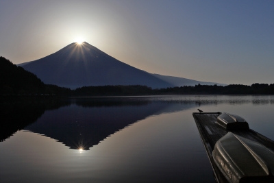 photo?id=3550&suffix=m