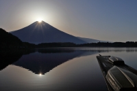 photo?id=3550&suffix=t