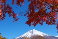 photo?id=3551&suffix=t