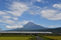 photo?id=3552&suffix=t