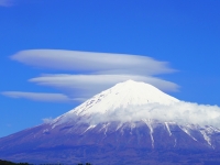 photo?id=3557&suffix=t