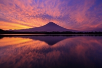 photo?id=3558&suffix=t