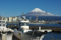 photo?id=3559&suffix=t