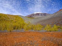 photo?id=3562&suffix=t