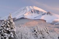 photo?id=3565&suffix=t