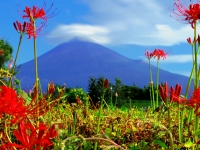 photo?id=3567&suffix=t