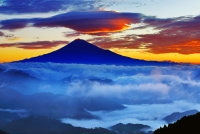 photo?id=3571&suffix=t