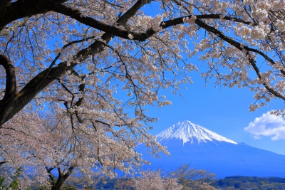 photo?id=3572&suffix=m