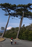 photo?id=3574&suffix=t