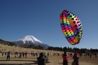 photo?id=3580&suffix=t