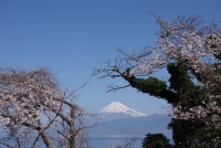 photo?id=3582&suffix=t