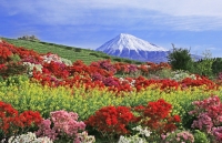 photo?id=3583&suffix=t