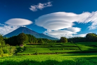 photo?id=3589&suffix=t