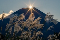 photo?id=3590&suffix=t