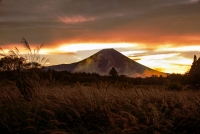 photo?id=3592&suffix=t