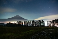 photo?id=3593&suffix=t