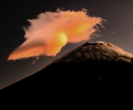 photo?id=3594&suffix=t