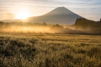 photo?id=3597&suffix=t