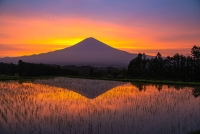 photo?id=3598&suffix=t