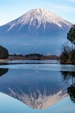 photo?id=3600&suffix=t