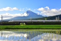 photo?id=3601&suffix=t