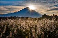photo?id=3604&suffix=t