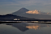 photo?id=3605&suffix=t