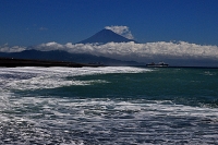 photo?id=3607&suffix=t