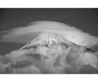 photo?id=3608&suffix=t