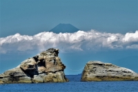 photo?id=3610&suffix=t
