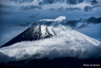 photo?id=3620&suffix=t