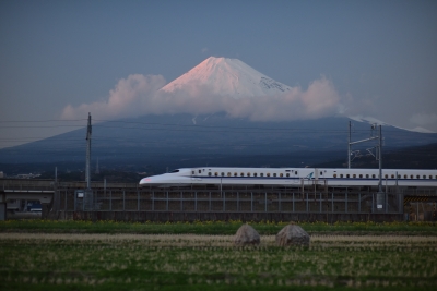 photo?id=3624&suffix=m