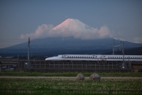 photo?id=3624&suffix=t