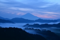 photo?id=3629&suffix=t