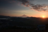 photo?id=3630&suffix=t