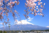 photo?id=3633&suffix=t
