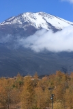 photo?id=3634&suffix=t