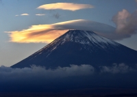 photo?id=3635&suffix=t